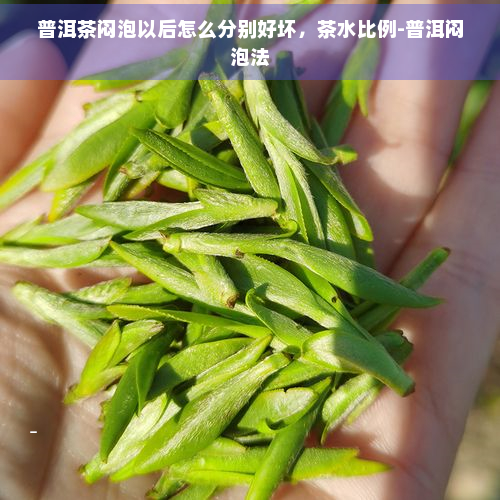 普洱茶闷泡以后怎么分别好坏，茶水比例-普洱闷泡法