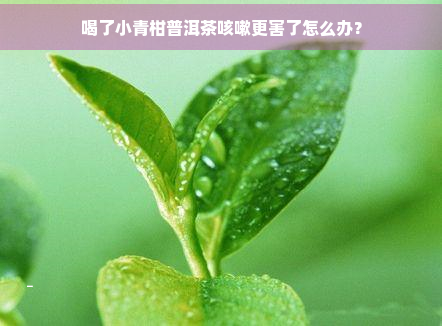 喝了小青柑普洱茶咳嗽更害了怎么办？