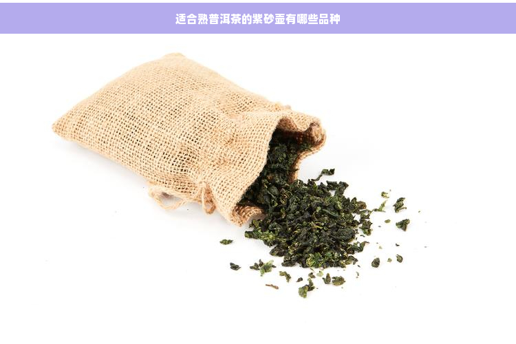 适合熟普洱茶的紫砂壶有哪些品种