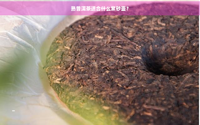 熟普洱茶适合什么紫砂壶？