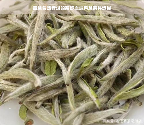 最适合熟普洱的紫砂壶泥料及茶具选择