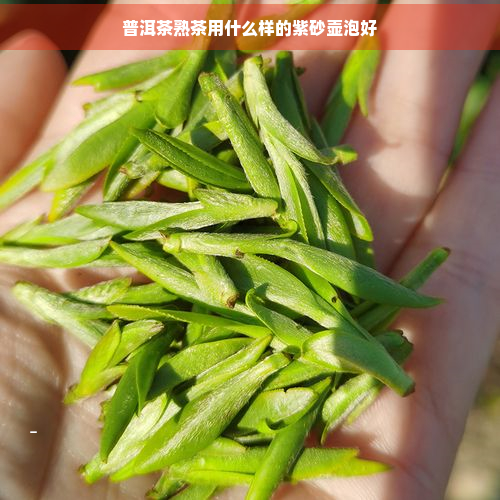 普洱茶熟茶用什么样的紫砂壶泡好