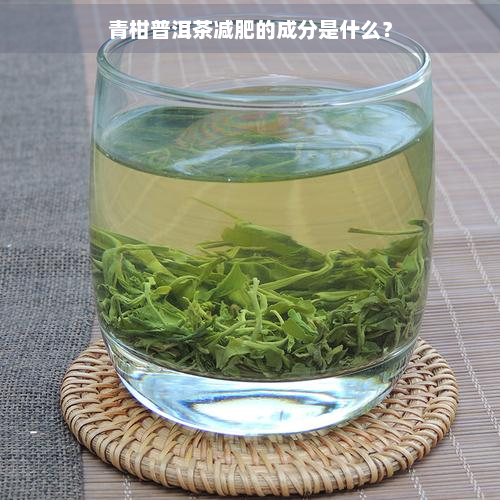 青柑普洱茶减肥的成分是什么？