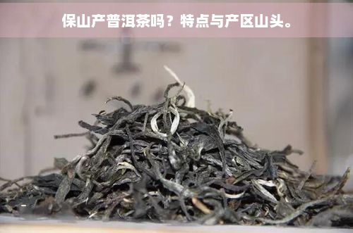 保山产普洱茶吗？特点与产区山头。