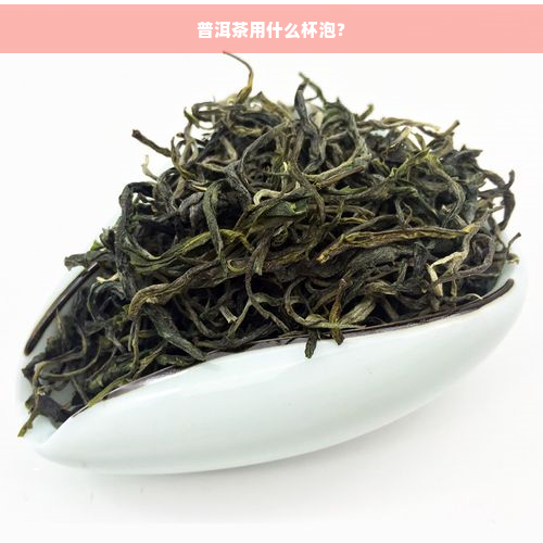 普洱茶用什么杯泡？