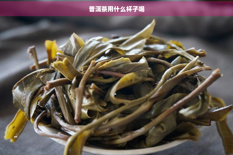 普洱茶用什么杯子喝