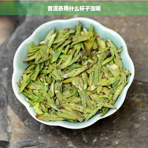 普洱茶用什么杯子泡喝