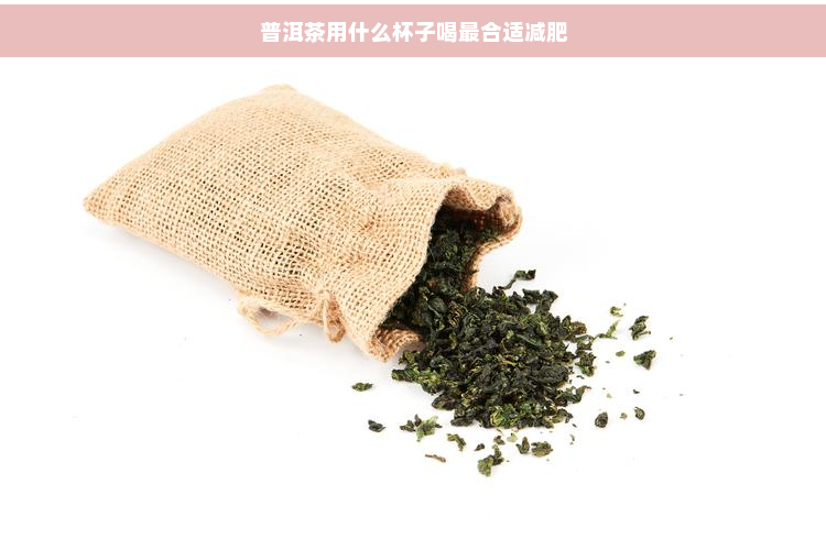 普洱茶用什么杯子喝最合适减肥