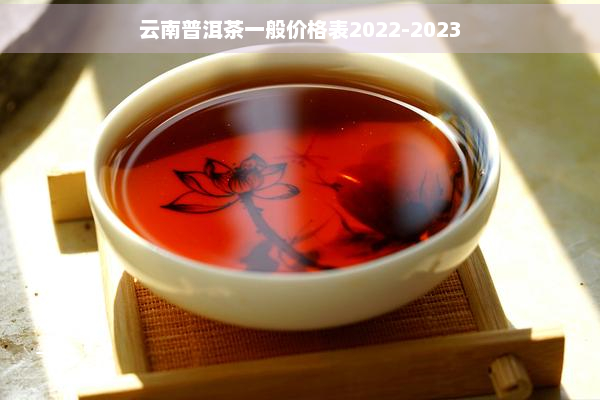 云南普洱茶一般价格表2022-2023