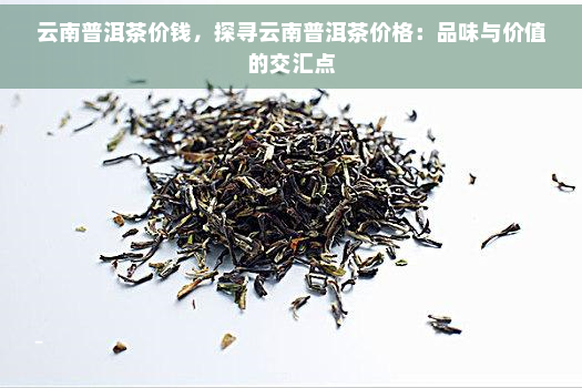 云南普洱茶价钱，探寻云南普洱茶价格：品味与价值的交汇点