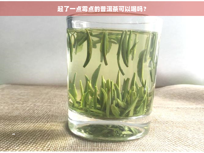 起了一点霉点的普洱茶可以喝吗？