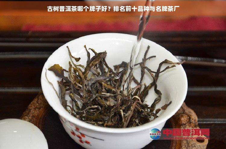 古树普洱茶哪个牌子好？排名前十品种与名牌茶厂