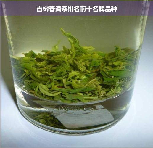 古树普洱茶排名前十名牌品种