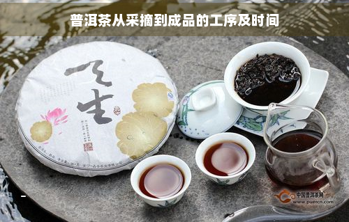 普洱茶从采摘到成品的工序及时间