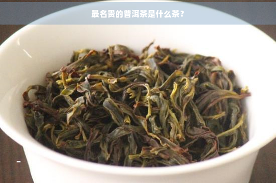 最名贵的普洱茶是什么茶？