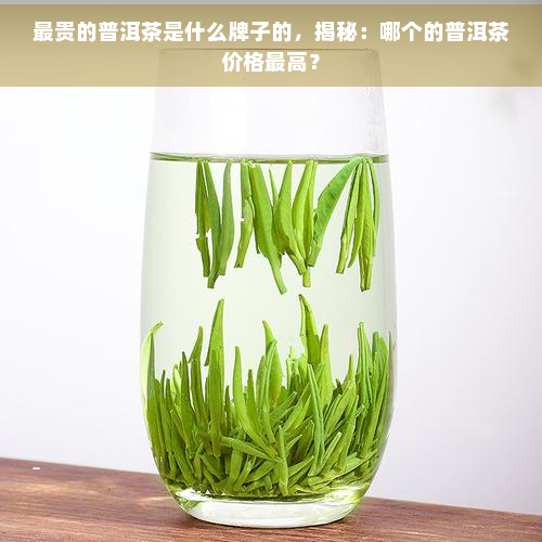 最贵的普洱茶是什么牌子的，揭秘：哪个的普洱茶价格更高？