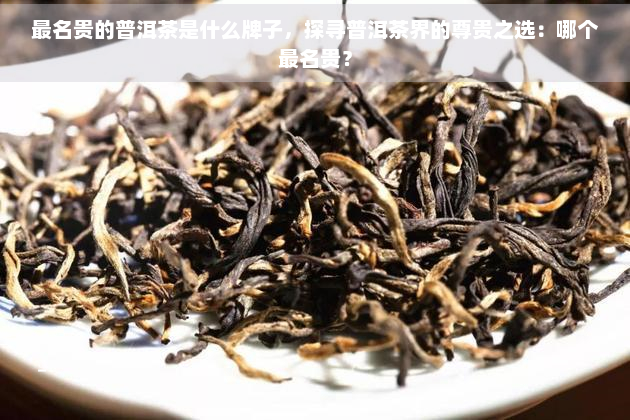 最名贵的普洱茶是什么牌子，探寻普洱茶界的尊贵之选：哪个最名贵？