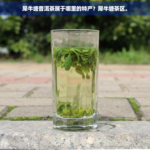 犀牛塘普洱茶属于哪里的特产？犀牛塘茶区。