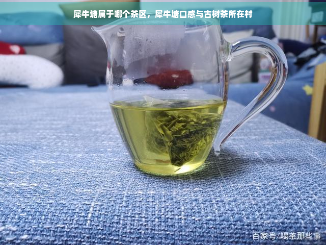 犀牛塘属于哪个茶区，犀牛塘口感与古树茶所在村