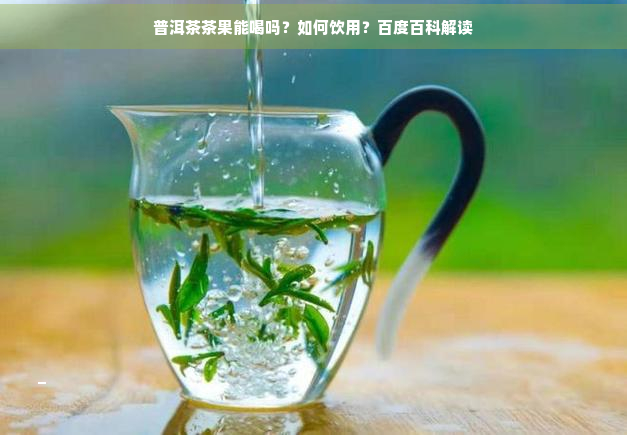 普洱茶茶果能喝吗？如何饮用？百度百科解读