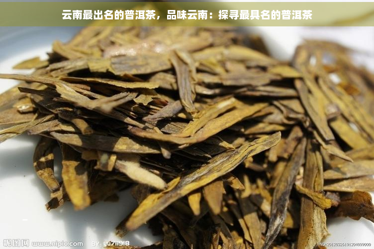 云南最出名的普洱茶，品味云南：探寻更具名的普洱茶