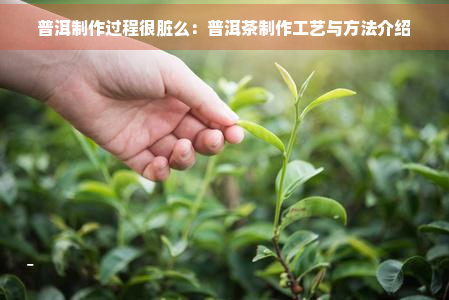 普洱制作过程很脏么：普洱茶制作工艺与方法介绍