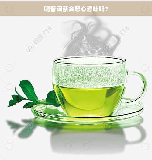 喝普洱茶会恶心想吐吗？