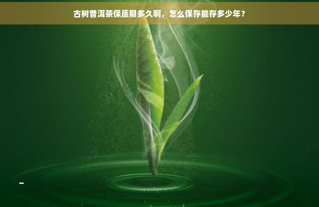 古树普洱茶保质期多久啊，怎么保存能存多少年？