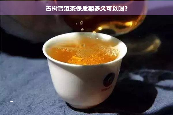 古树普洱茶保质期多久可以喝？