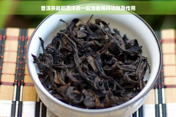 普洱茶能和西洋参一起泡着喝吗功效及作用