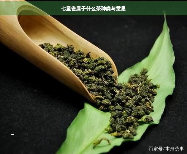 七星雀属于什么茶种类与意思