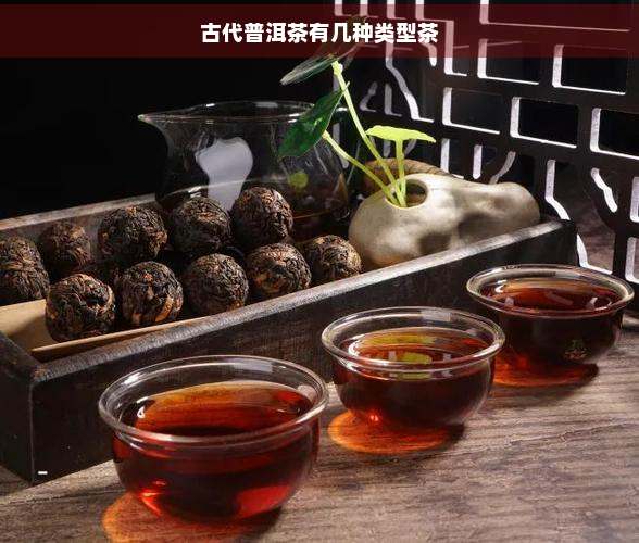 古代普洱茶有几种类型茶