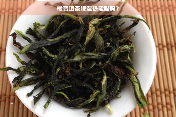 橘普洱茶脾湿热能喝吗？