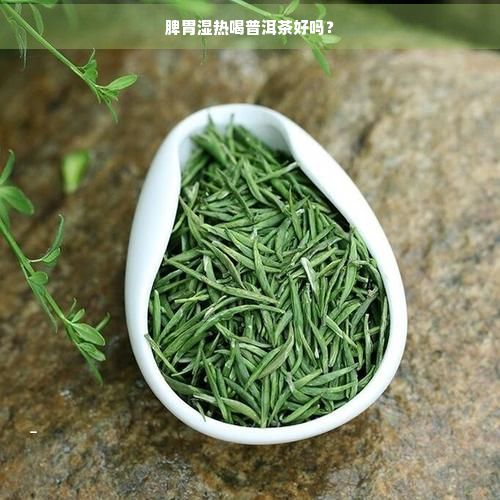 脾胃湿热喝普洱茶好吗？