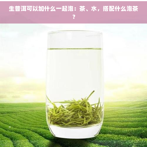 生普洱可以加什么一起泡：茶、水，搭配什么泡茶？