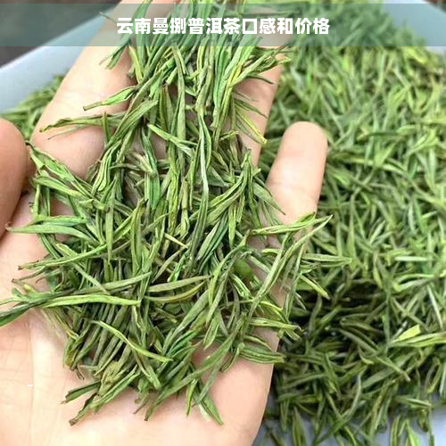 云南曼捌普洱茶口感和价格