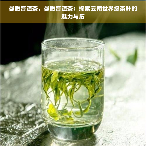 曼撤普洱茶，曼撤普洱茶：探索云南世界级茶叶的魅力与历