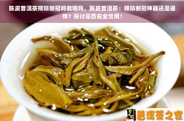 陈皮普洱茶预防吗能喝吗，陈皮普洱茶：预防神器还是谣传？探讨是否安全饮用！