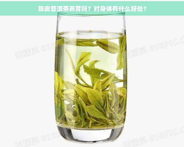 陈皮普洱茶养胃吗？对身体有什么好处？