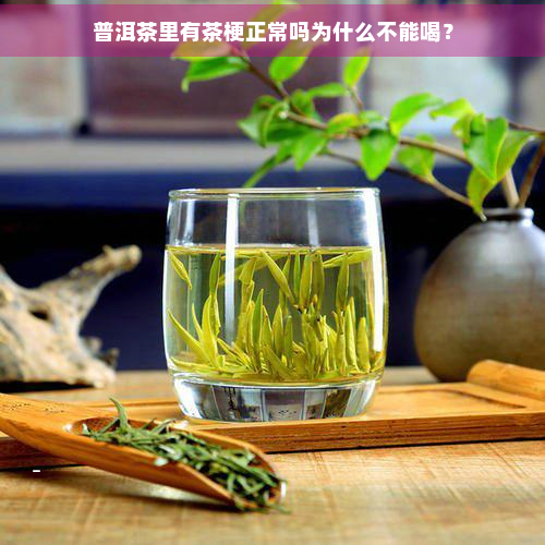 普洱茶里有茶梗正常吗为什么不能喝？