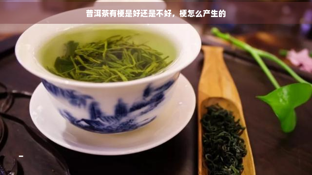 普洱茶有梗是好还是不好，梗怎么产生的