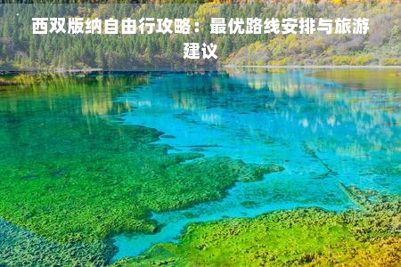 西双版纳自由行攻略：更优路线安排与旅游建议