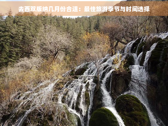 去西双版纳几月份合适：更佳旅游季节与时间选择