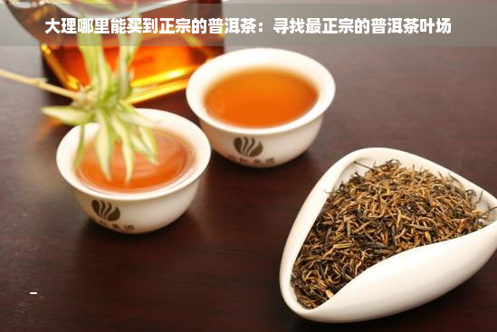 大理哪里能买到正宗的普洱茶：寻找最正宗的普洱茶叶场