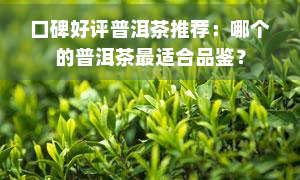 口碑好评普洱茶推荐：哪个的普洱茶最适合品鉴？