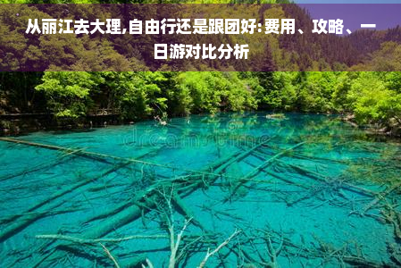 从丽江去大理,自由行还是跟团好:费用、攻略、一日游对比分析