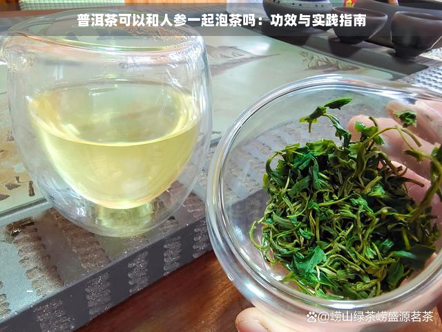 普洱茶可以和人参一起泡茶吗：功效与实践指南