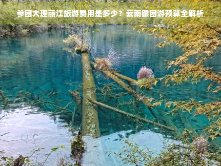 参团大理丽江旅游费用是多少？云南跟团游预算全解析