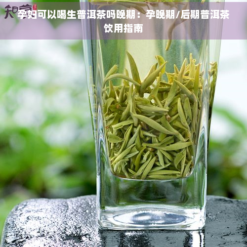 孕妇可以喝生普洱茶吗晚期：孕晚期/后期普洱茶饮用指南