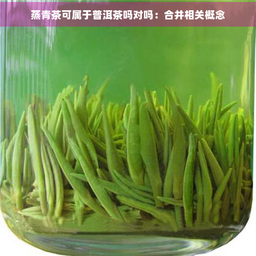 蒸青茶可属于普洱茶吗对吗：合并相关概念